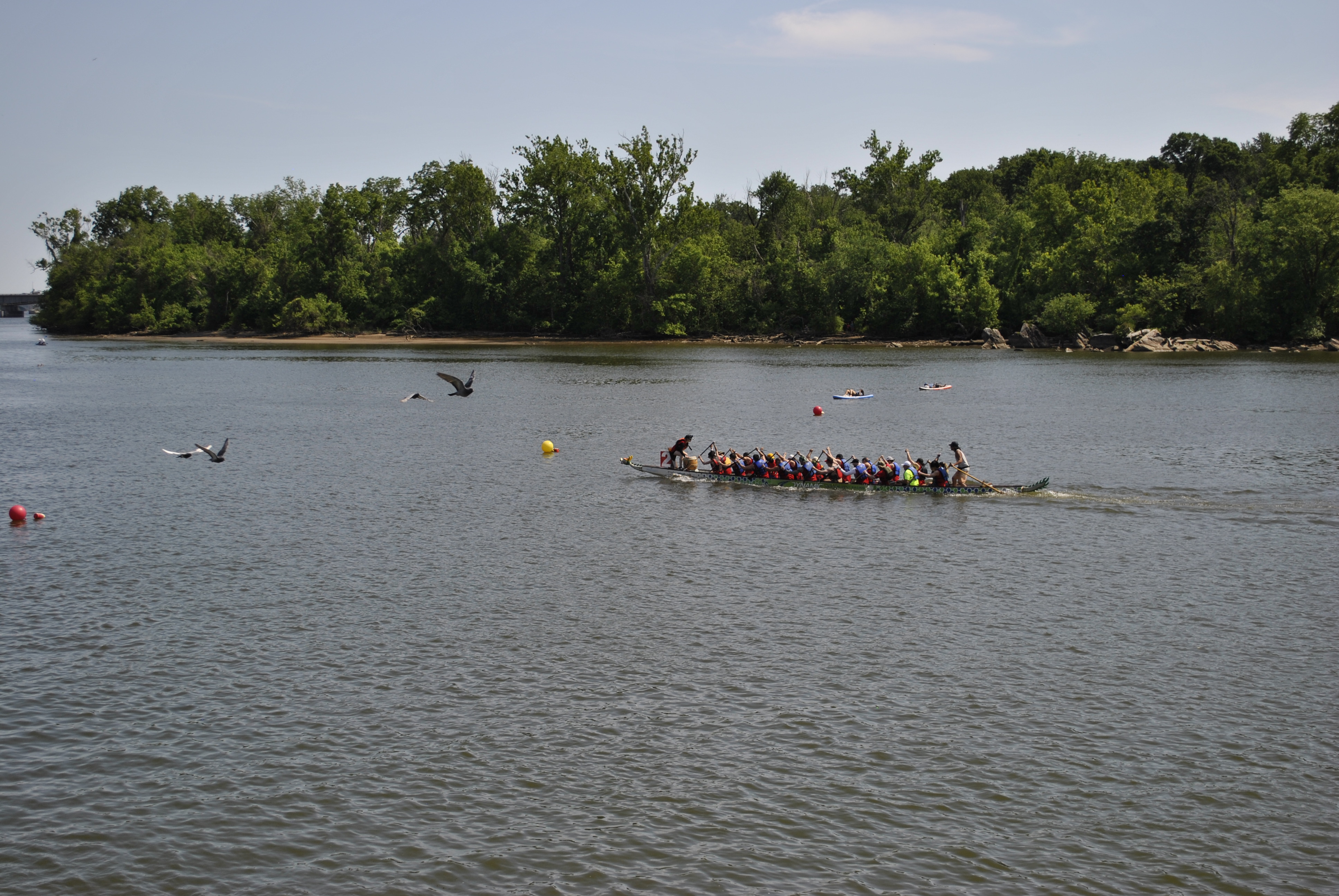 DC Dragon Boat Festival at Georgetown Waterfront Park